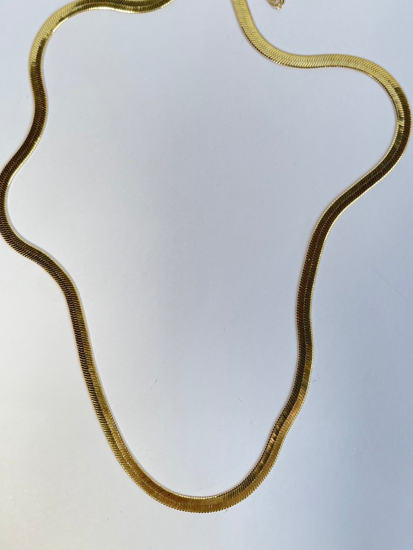 Collar Snake: COLL37